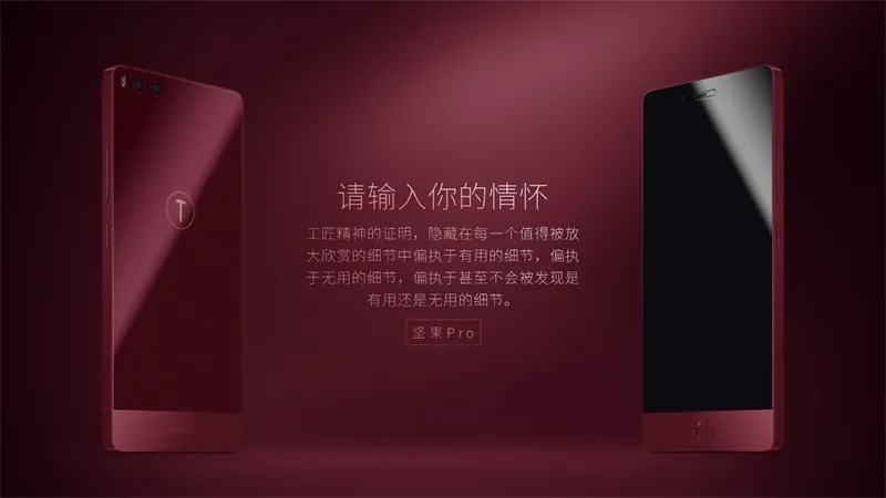 可自由编辑！一份30页的坚果Pro情怀PPT模板